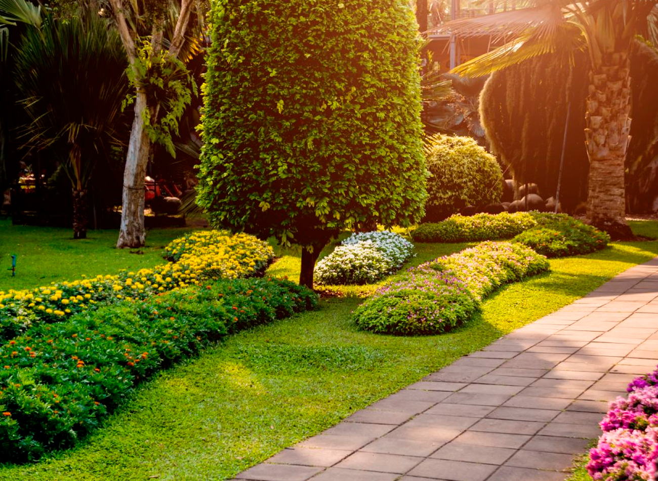 Cómo transformar un jardín descuidado en tu oasis personal