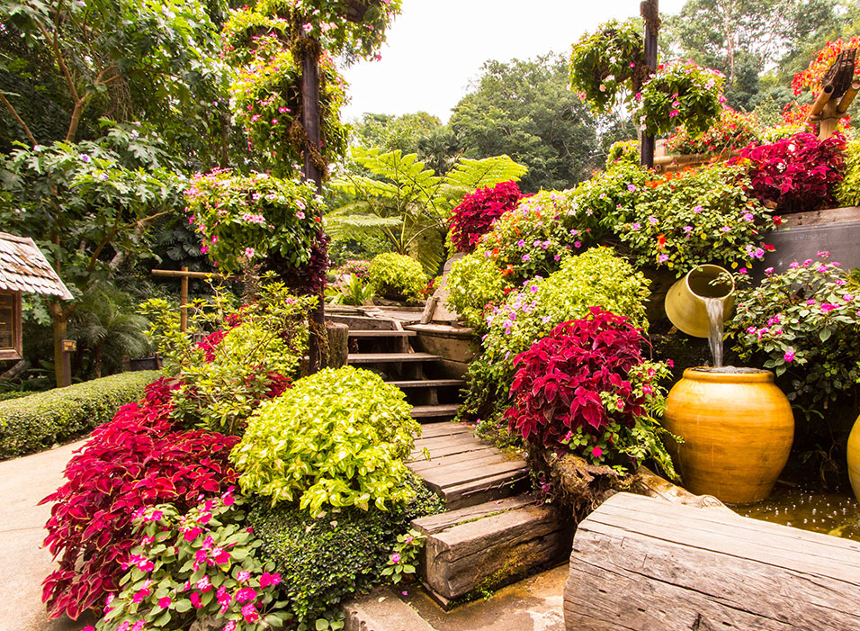 El camino hacia la transformación de tu jardín